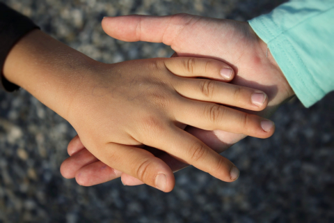 Ręka dziecka i ręka dorosłego